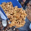 02 Aktion Februar 25 Tiere im Winterwald